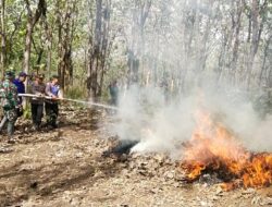 perhutani-kph-madiun-giat-sosialisasi-tentang-ancaman-kebakaran-hutan